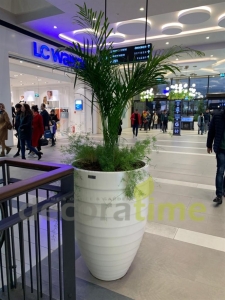 Hilltown Avm Fiber Saksılar